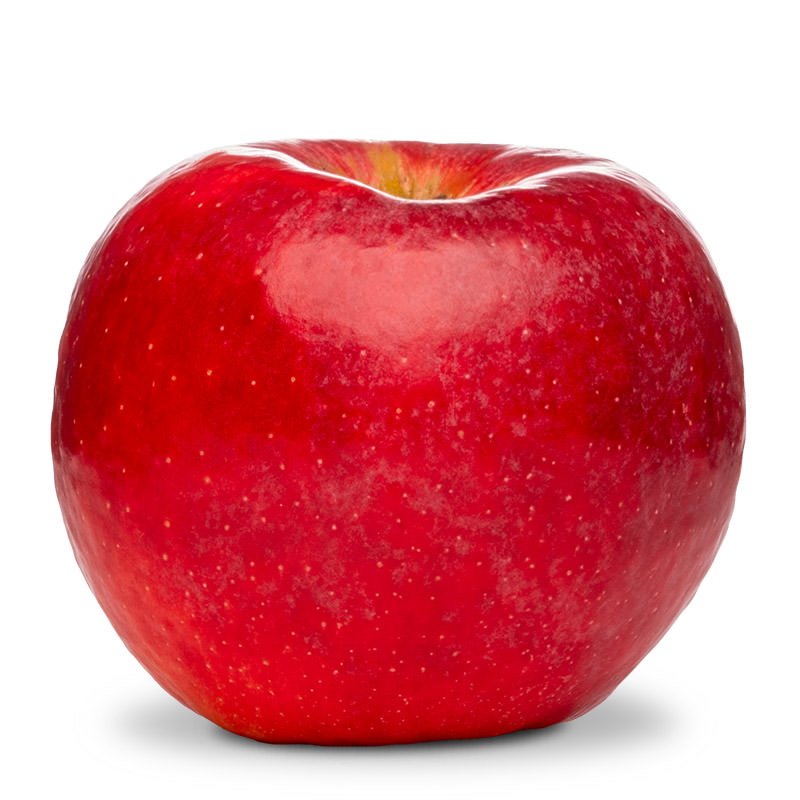 Gala apples 🍎 🌟 Discover the crunch and sweetness of this popular variety